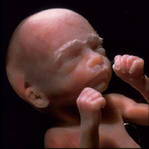 Pränatale Trance-Therapie