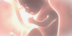 wp0881a2bf_0f.jpg