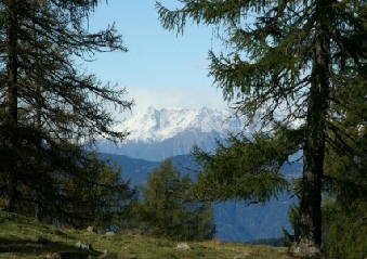 Schweizer Berge