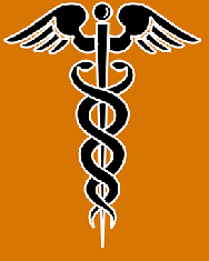 Caduceus - ein ursprünglich schamanisches Symbol: 2 Schlangen und ein Adler
