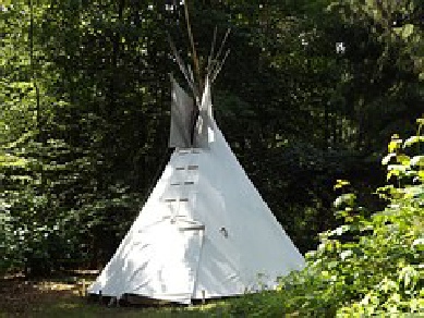 Tipi