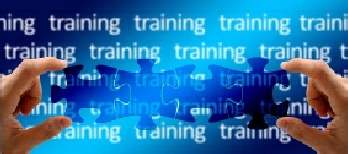 Trainings, Meetings & Practice