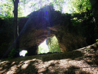 Portal