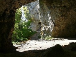 Portal im Gelände